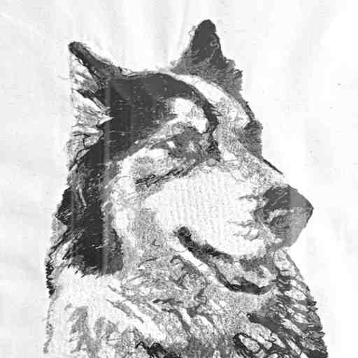 broderia-potret-kuche-haski